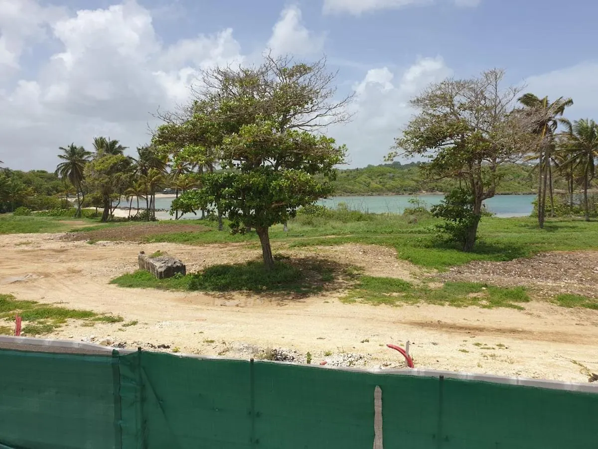 Mangrov Apartamento Le Moule Guadalupe