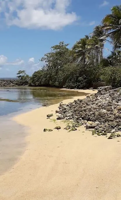 Mangrov Apartamento Le Moule 0*,  Guadalupe