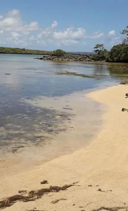 Mangrov Apartamento Le Moule Guadalupe